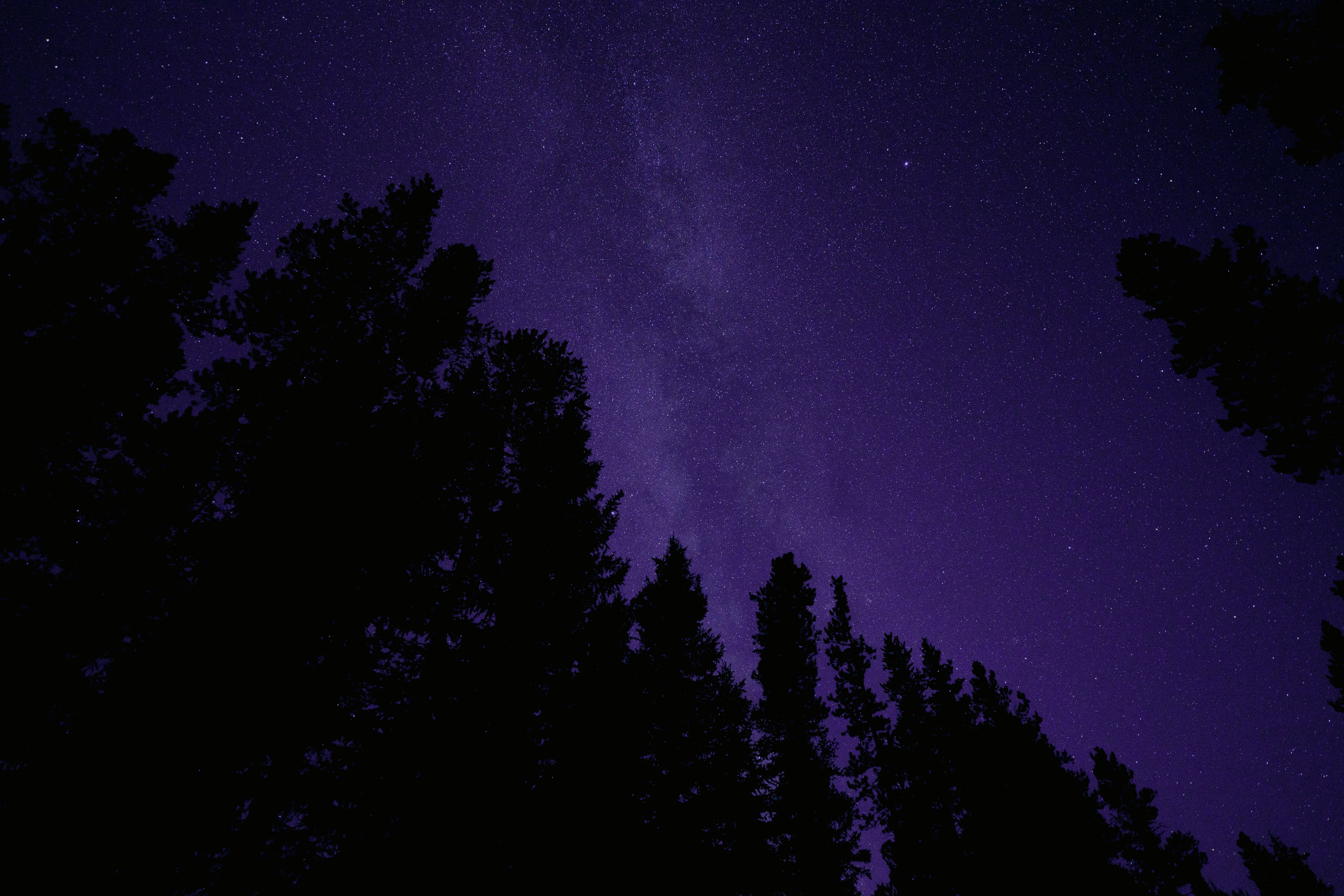 My Cybersecurity Era: Speak Now